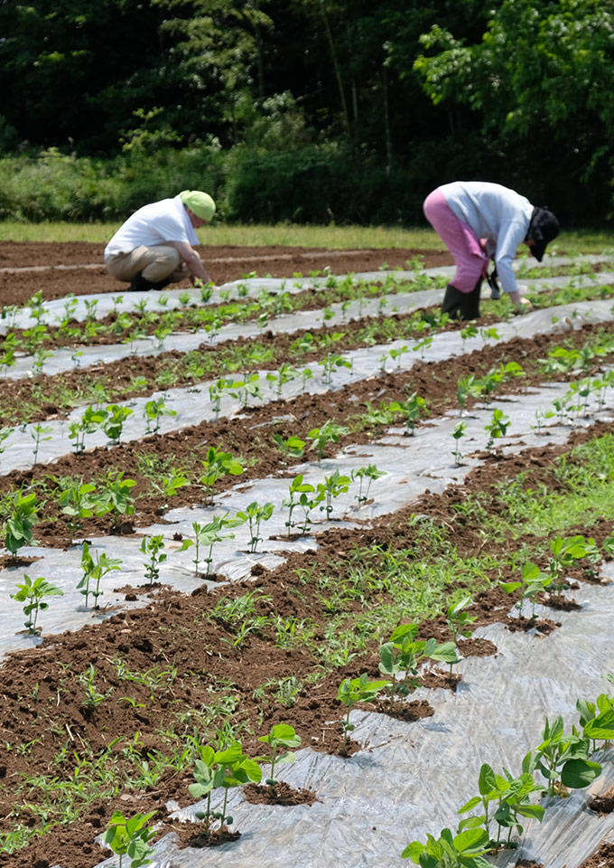 日高農園